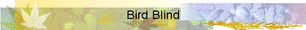 Bird Blind